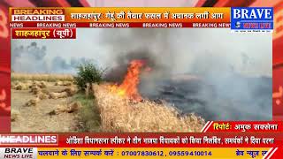 शाहजहांपुरः अचानक लगी आग से 30 बीघा गेंहू की तैयार फसल जलकर राख | #BraveNewsLive