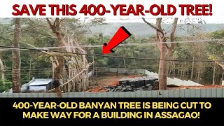 SaveMe | 400-year-old Banyan tree is being cut to make way for a building in Assagao!