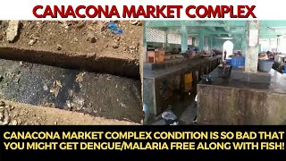 Canacona market complex condition is so bad that you might get Dengue/Malaria free along with Fish!