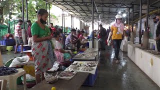 Panjim | As Margao wholesale fish market shuts, Fish markets across Goa hit!
