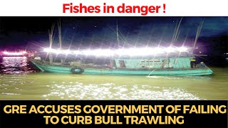 #Fishes in danger | GRE accuses government of failing to curb bull trawling