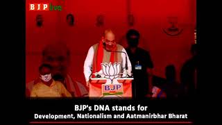BJP’s DNA stands for Development, Nationalism and  Aatmanirbhar Bharat