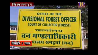 वन विभाग बिलासपुर जिला में चार स्वर्णिम वाटिका बनाने जा रहा है।