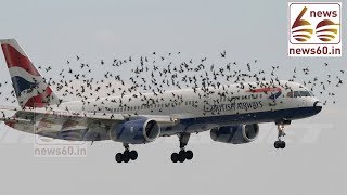 When a bird strikes a plane
