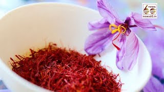 Saffron: The Priceless Spice
