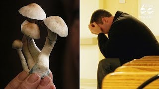 Magic mushrooms 'reboot' brain in depressed people – study