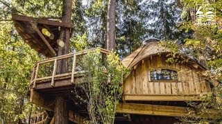 Microsoft built tree houses for its employees