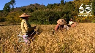 Myanmar govt to harvest fields abandoned by Rohingya