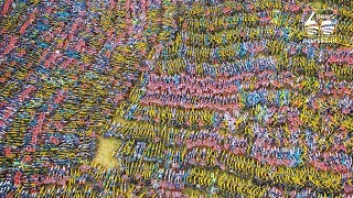 China's Bicycle sharing business gone to great loss
