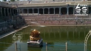 Golden Lotus Pond - Meenakshi Temple Madurai