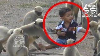 Karnataka Boy Plays With Monkeys Every Day