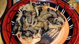Mopane worms - A true delicacy in southern Africa