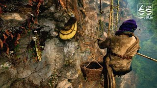 The ancient art of honey hunting in Nepal