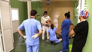 Dubai opens world's first camel hospital