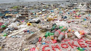 Coca-Cola Produced More Than 110 Billion Plastic Bottles Last Year