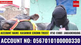 #NaikiMission: Kashmir Crown Rehabilitates Two Poor Famlies By Providing Them Cows