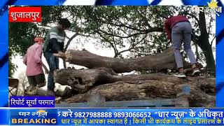 शुजालपुर में राष्ट्रीय छात्र संगठन (NSUI) द्वारा सिटी व मंडी शमशान में लकड़ी व कंडो की व्यवस्था