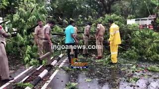 Disaster management overwhelmed by destruction, Police take the job of clearing trees!