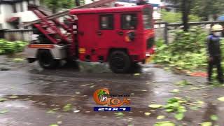 Tree uproots on St Inez road behind Caculo Mall, Fire brigade team quickly clears the road