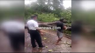 Sanguem-Curchorem faces wrath of cyclone! watch detailed report