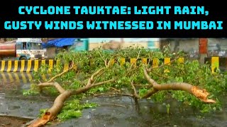 Cyclone Tauktae: Light Rain, Gusty Winds Witnessed In Mumbai | Catch News