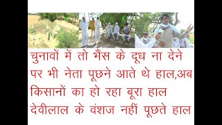 कालुआना में टेल तक नहीं पहंुचा पानी, ना जाने कहां गए किसानों के मसीहा ताउ देवीलाल के वंशज, K Haryana