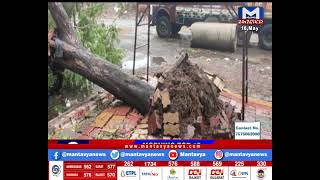 Surat: ચલથાણમાં ભારે પવનના કારણે વૃક્ષ ધરાશાયી | Tauktae Cyclone