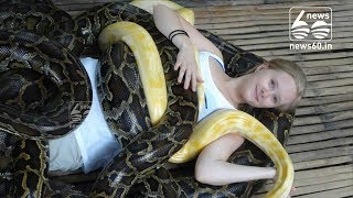 Get massaged by giant pythons at this Philippines zoo
