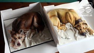 London mum makes amazing cake replicas of domestic pets