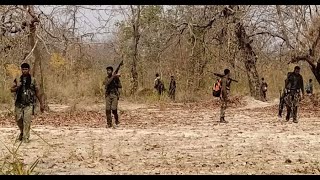 Maharashtra: 13 Maoists gunned down by security forces in Gadchiroli encounter