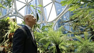 Amazon build a huge rainforest in their office to inspire their employees