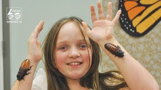 Shelby Counterman, 8, Has Thousands Of Cockroach Pets