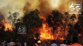 Nine Trekkers Dead In Massive Forest Fire In Tamil Nadu