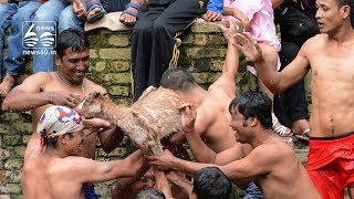 Dev pokhari jatra-festival where a live goat is ripped apart