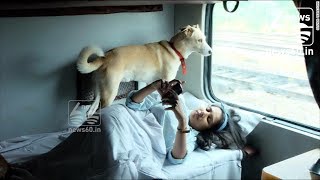 Delhi Woman Is Travelling Across India With Her Dogs