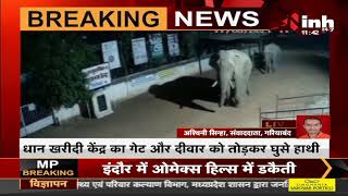 Chhattisgarh News || Gariaband, फिंगेश्वर क्षेत्र में घूम रहे 2 दंतैल हाथी