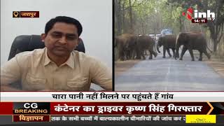 Chhattisgarh News || हाथी ,मानव में टकराव
