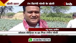 Chhattisgarh News || रंग बिरंगी गोभी के खेती, Vitamins के हे भंडार