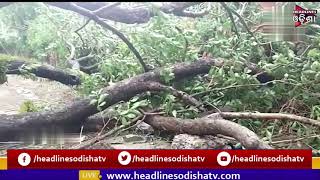 Cyclone Yaas | Seawater Enters Residential Area In Bhadrak