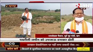 Chhattisgarh News || Former Home Minister Ramsevak Paikra उगा रहे फसल