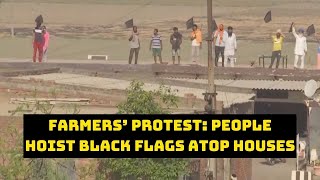 Farmers’ Protest: People Hoist Black Flags Atop Houses In Amritsar To Mark ‘Black Day’ | Catch News