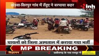 Madhya Pradesh News || सिरपुर गांव में तेंदुए ने बरपाया कहर, 4 मजदूर घायल