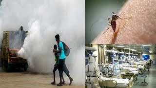 Corona Ke Saath Dengue Malaria Bhi Badh Raha Hai | Desh Ki Rajdhani Se Khaas Khabrain | SACH NEWS |