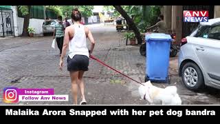 Malaika Arora Snapped with her pet dog bandra