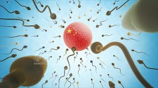 China sperm bank demands Communist Party loyalty from donors