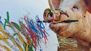 Pigcasso, the Famous Painting Pig