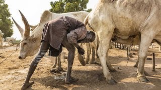 South Sudan tribe that uses cow-urine showers