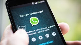 whatsApp data is now available for all users