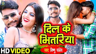 Video Song - दिल के भीतरीया - Vishnu Pandey - Dil Ke Bhitariya #New Video Song