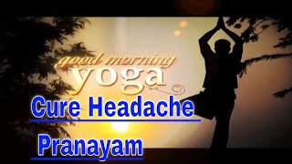 How to cure headache through yoga Pranayam सर दर्द को योग से कैसे दूर करें प्राणायाम कैसे करें